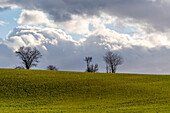 Cumulus clouds after the storm, trees, field, Pfaffendorf, Saxony, Germany