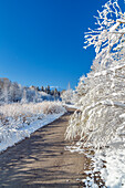 Snowy road in the Murnauer Moos, Murnau, Upper Bavaria, Bavaria, Germany