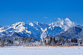 View from Murnauer Moos on Wetterstein Mountains with Alpspitze and Zugspitze, Murnau, Upper Bavaria, Bavaria, Germany