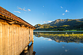 Boat huts on the Kochelsee in front of Herzogstand (1,731 m), Schlehdorf, Upper Bavaria, Bavaria, Germany