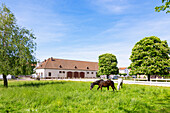 State stud farm and horses in Zweibruecken, Rhineland-Palatinate, Germany
