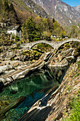 Alte Römerbrücke Ponte dei Salti über Verzasca, Lavertezzo, Verzascatal, Valle Verzasca, Kanton Tessin, Schweiz