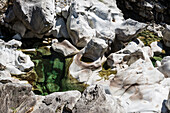 Gesteinsformationen im Fluss Verzasca, bei Lavertezzo, Verzascatal, Valle Verzasca, Kanton Tessin, Schweiz