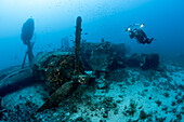Divers at the B-24 Liberator Bomber Wreck, Vis Island, Mediterranean Sea, Croatia
