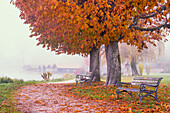 Brahmspromenade Tutzing, autumn mood, Germany