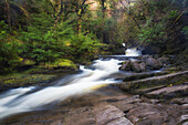 Rapids on the Owengarriff River in the forest. stone bank. Torc, Muckross, County Kerry, Ireland.