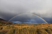Ganzer Regenbogen über den Dünen. Dünengras im Vordergrund. Regenwolken. Inch Beach, County Kerry, Irland.
