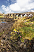 Old Viaduct in Ballydehop over River Bawnaknockane. Rocky shore flowers in the foreground. County Cork Ireland.