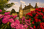 Rhododendron garden in the park of Lembeck Castle, Dorsten, North Rhine-Westphalia, Germany