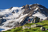 Woman hiking up to the Hintergrathütte, Schrötterhorn in the background, Ortler Group, Ortler, Stelvio National Park, South Tyrol, Italy