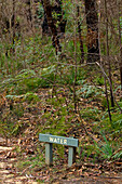 Wasserzeichen, Blue Mountains National Park, NSW, Australien