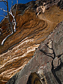 Wellenerodierter Felsen, Blue Mountains, NSW