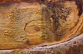 Sandstein des Royal National Park, NSW, Australien