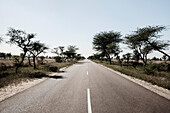 Straße von Bundi nach Jodhpur, Rajasthan, Indien