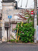 Street scene, Sawara, Japan