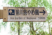 Maekawa Iris festival, Japan