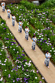 Dancers, Maekawa Iris festival, Itako City, Japan