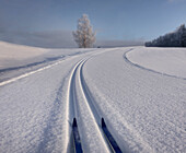 Snowy, hilly cross-country ski track with skiis in Estonia, s-shaped trail in winter.