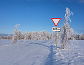 Roadside traffic sign in winter. Give way or yield road sign.