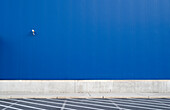 Surveillance camera on a blue exterior wall of warehouse or large windowless building, Philadelphia, USA