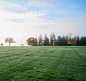 Stanley Park am frühen Morgen, Vancouver, Kanada