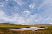 Prairie in summer, a lake and rolling landscape