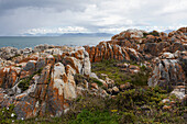 Rocky jagged coastline, eroded sandstone rock, view out to the ocean, De Kelders, South Africa