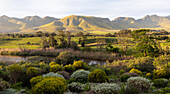 Blick über eine ruhige Landschaft, ein Flusstal und eine Bergkette, Klein Mountains, Südafrika