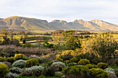 View across a tranquil landscape, river valley and a mountain range, Klein Mountains, South Africa