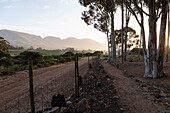 Wandel Pad, Stanford, Western Cape, South Africa.