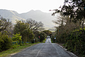 Road through a rural landscape with trees, Stanford, South Africa