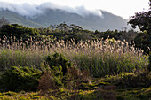 Landschaft in flacher Ebene und Blick auf die Klein Mountains, Stanford, Südafrika