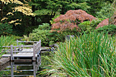 Zig Zag wooden footbridge over a pool in the Japanese Gardens, shrubs with autumn foliage, Portland, USA