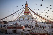 Pigeons flock flies over Bodnath (Boudhanath) Stupa, Kathmandu, Nepal, Himalayas, Asia