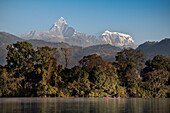 Blick vom Phewa See zum Machapucharé Berg bei Pokhara, Kaski, Nepal, Himalaya, Asien