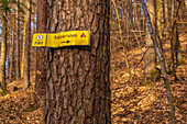 Signpost to Ruppertstein, Lemberg, Palatinate Forest, Southwest Palatinate, Rhineland Palatinate, Germany, Europe