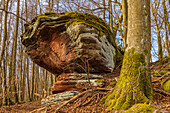 Buntsandstein rocks on the Lemberger Graf-Heinrich-Weg, Lemberg, Palatinate Forest, Southwest Palatinate, Rhineland-Palatinate, Germany, Europe