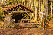 Klosterbrunnhütte im Naturpark Pfälzerwald, Lemberg, Südwestpfalz, Rheinland-Pfalz, Deutschland, Europa