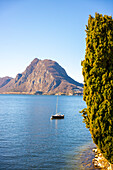 Sailboat on Lake Lugano with Mountain Peak Monte Bre and a Tree in a Sunny Day with Clear Sky in Lugano, Ticino, Switzerland.