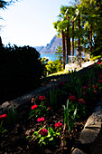 Blumen und Palme an einem sonnigen Tag mit klarem Himmel in Lugano, Tessin, Schweiz.