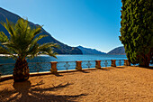 Balcony View over Lake Lugano with Tree and Mountain in a Sunny Day in Lugano, Ticino, Switzerland.