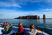 Long Anna, excursion with Börteboot around Helgoland, Helgoland, North Sea, North Sea Coast, German Bay, Schleswig Holstein, Germany, Europe,
