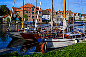 Row of houses at the inland port, Glückstadt, North Sea coast, Schleswig Holstein, Germany, Europe