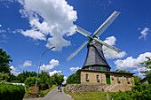 Windmill in the stork village of Bergenhusen, North Friesland, North Sea coast, Schleswig Holstein, Germany, Europe