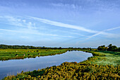 Landscape at the Treene, North Friesland, North Sea coast, Schleswig Holstein, Germany, Europe