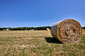 Straw bales on a field after harvest in summer, Bruchhausener Heide, Unkel, Rhineland-Palatinate, Germany