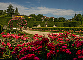 Rose beds in the Gönneranlage with a view of the Josephinenbrunnen fountain, Baden-Baden, Germany
