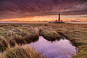 Pools in a salt marsh with Westerhever lighthouse in the background, Westerheversand, Westerhever, Wadden Sea National Park, Schleswig-Holstein, Germany