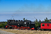 Locomotive of the steam railway at the Brocken, Brockenbahn, Harz, Harz National Park, Saxony-Anhalt, Germany