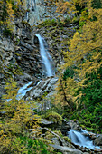 Umbalfälle mit herbstlich verfärbten Lärchen, Virgental, Hohe Tauern, Nationalpark Hohe Tauern, Osttirol, Österreich